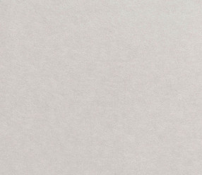 Обои Eijffinger Black&Light (356191) флизелиновые
